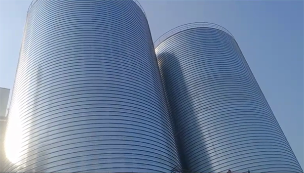 合水2座混凝土高架卷板仓